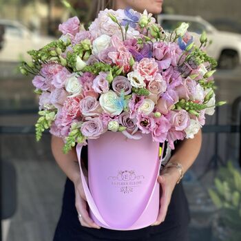 Butterfly Pinks (small box) MD