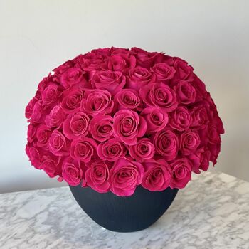 Hot Pink Roses