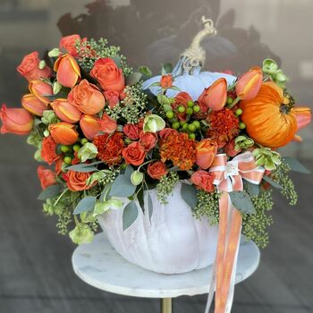 Thanksgiving pumpkin