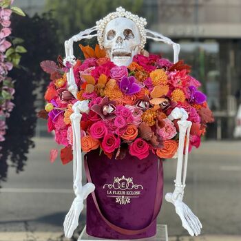 Shocked Lady Skeleton