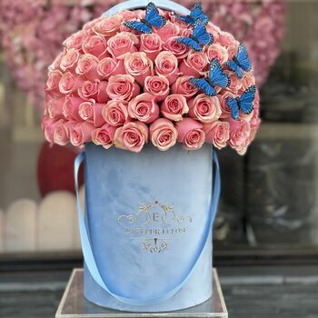 Baby Blue with Butterflies MD