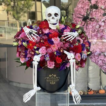 Skeleton in burgundy