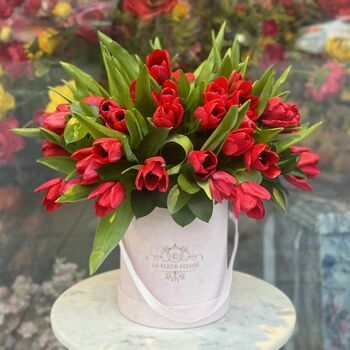 Mini box With 40 Red Tulips