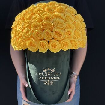 Yellow roses  MD