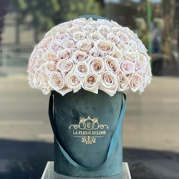 75 ROSES IN GREEN VELVET BOX