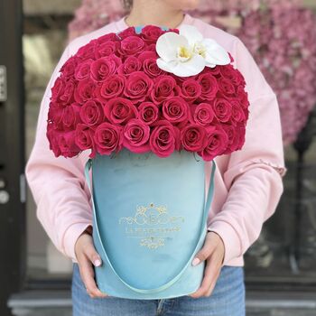 Turquoise with Orchid MD