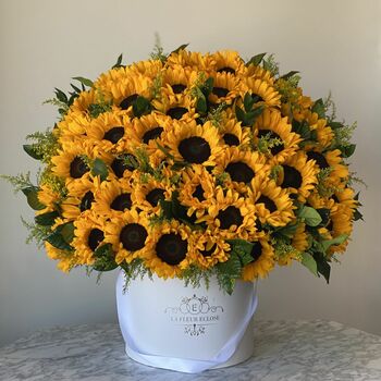 Sunflower love