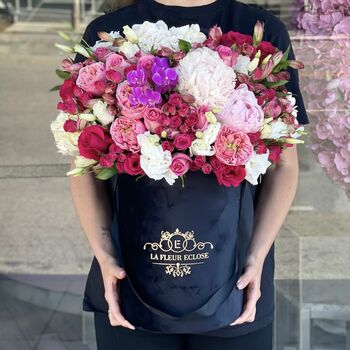 Beauty and the beast