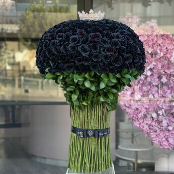 Dark queen (rare black roses)